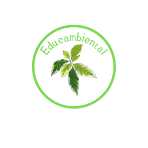 Educambiental