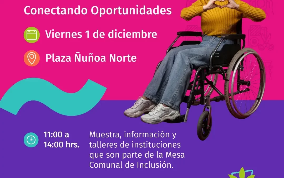 DIVERSIRED: Oportunidades en Red Ñuñoa